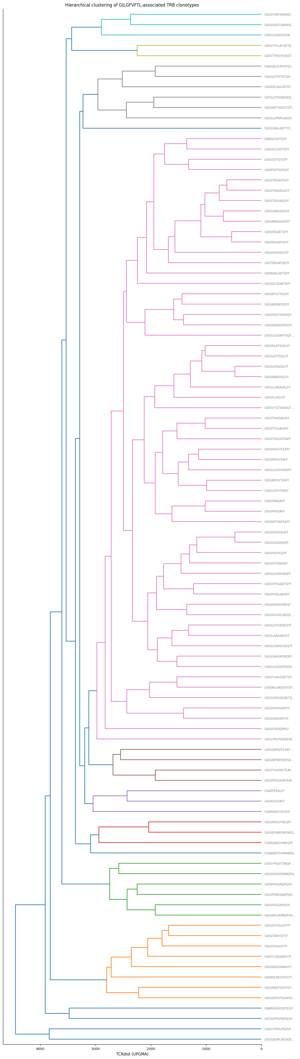 ../_images/notebooks_tcrdist_analysis_20_0.png