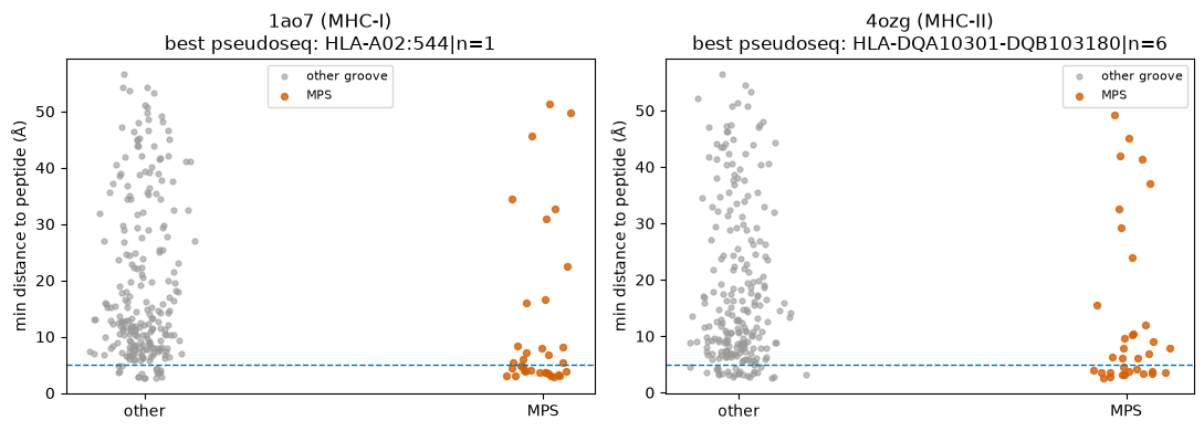 ../_images/notebooks_mhc_pseudosequence_mps_3_0.png