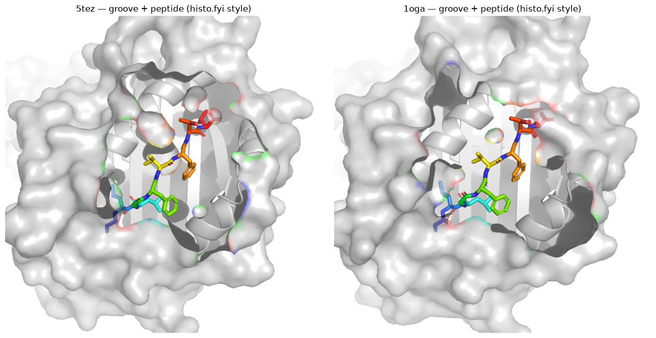 ../_images/notebooks_pymol_canonical_figures_9_0.png