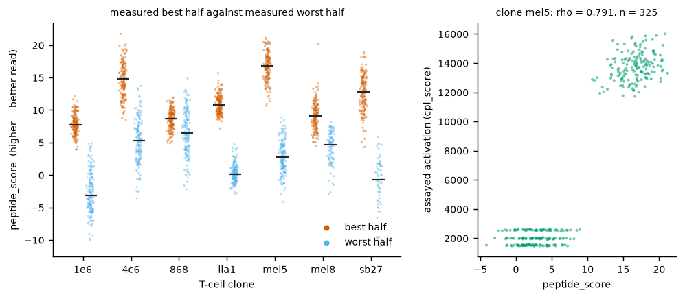 ../_images/notebooks_rank_peptides_cpl_16_0.png