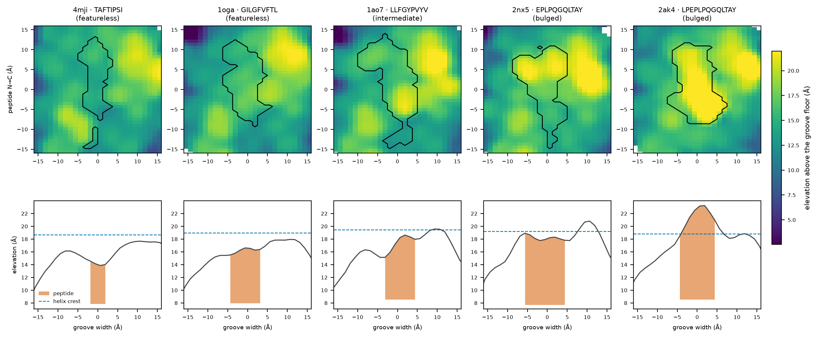 ../_images/notebooks_surface_topology_11_0.png